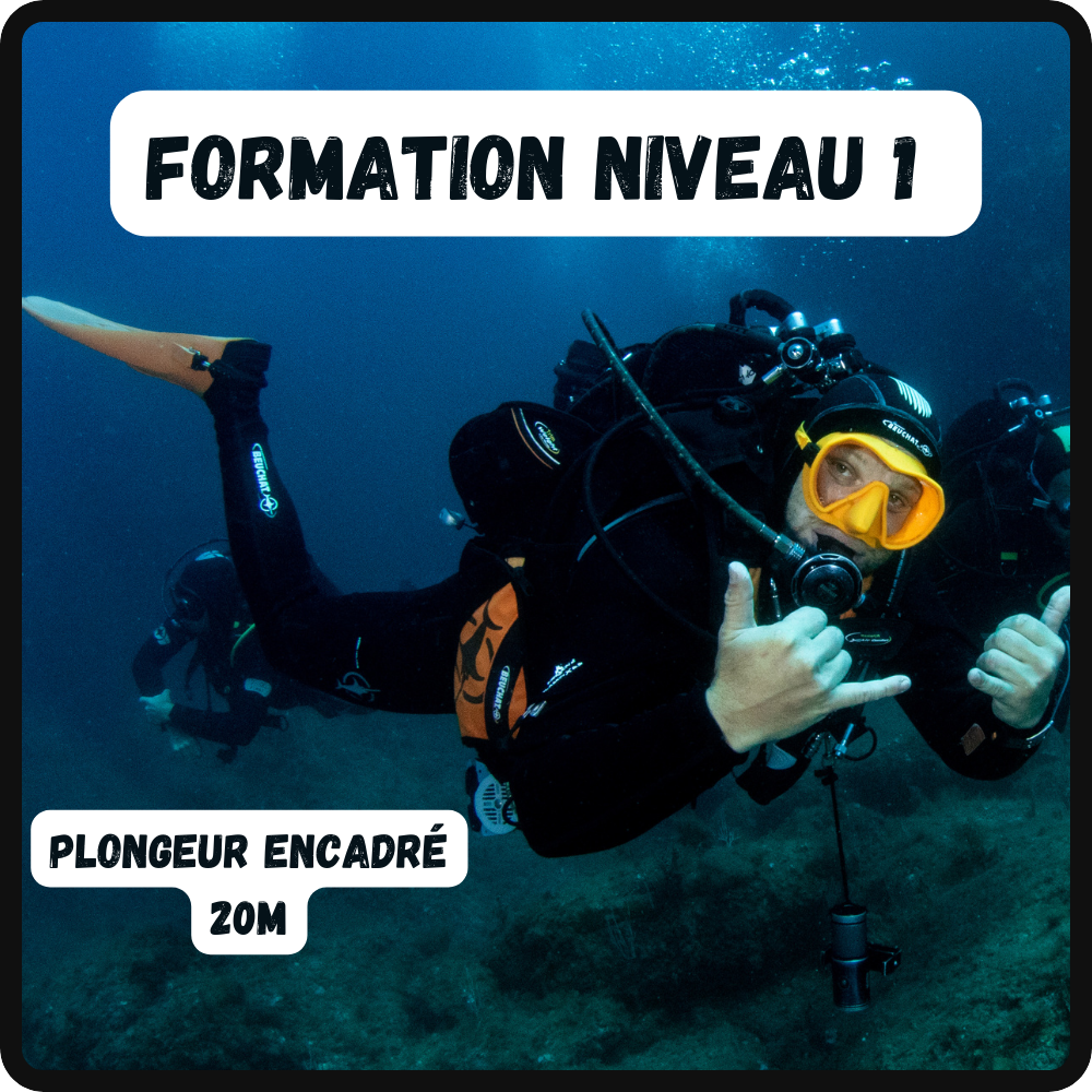 Formation Niveau 1