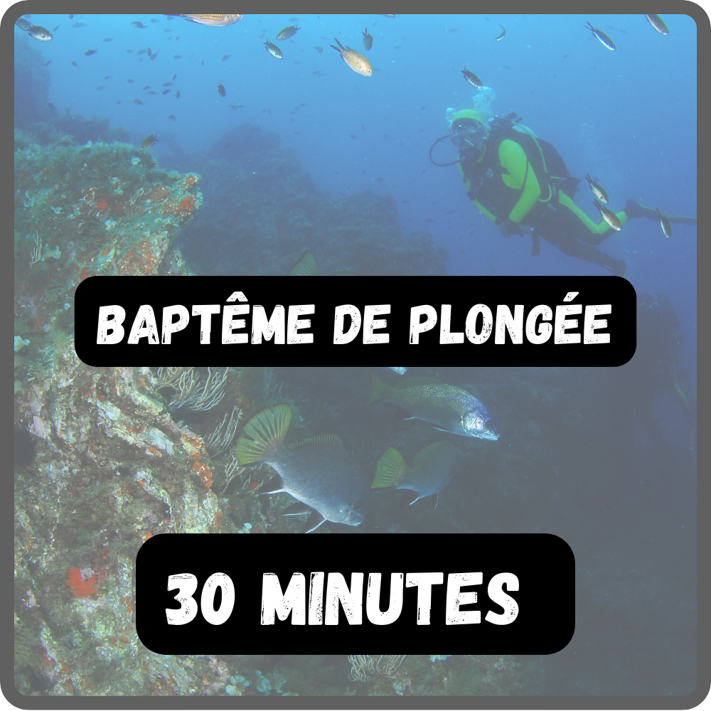 Baptême +