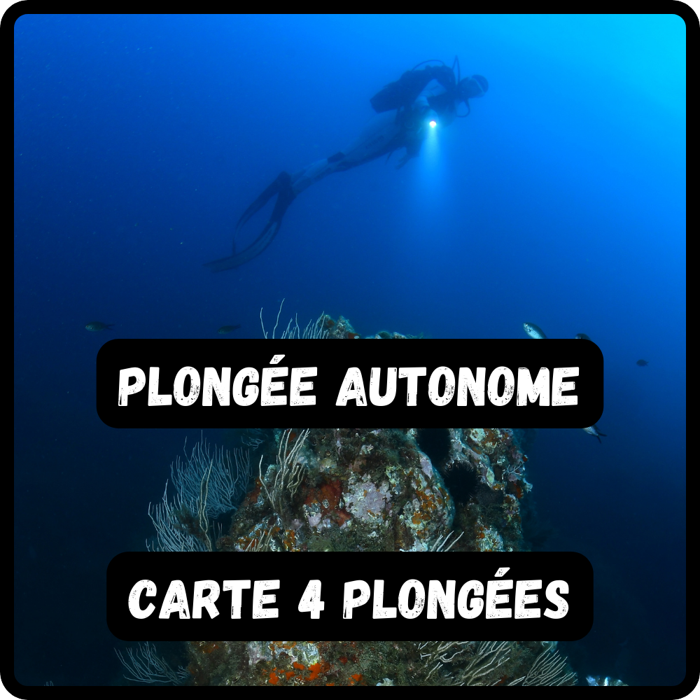 Carte 4 plongées autonomes