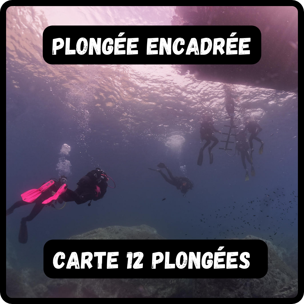 Carte 12 plongées encadrées