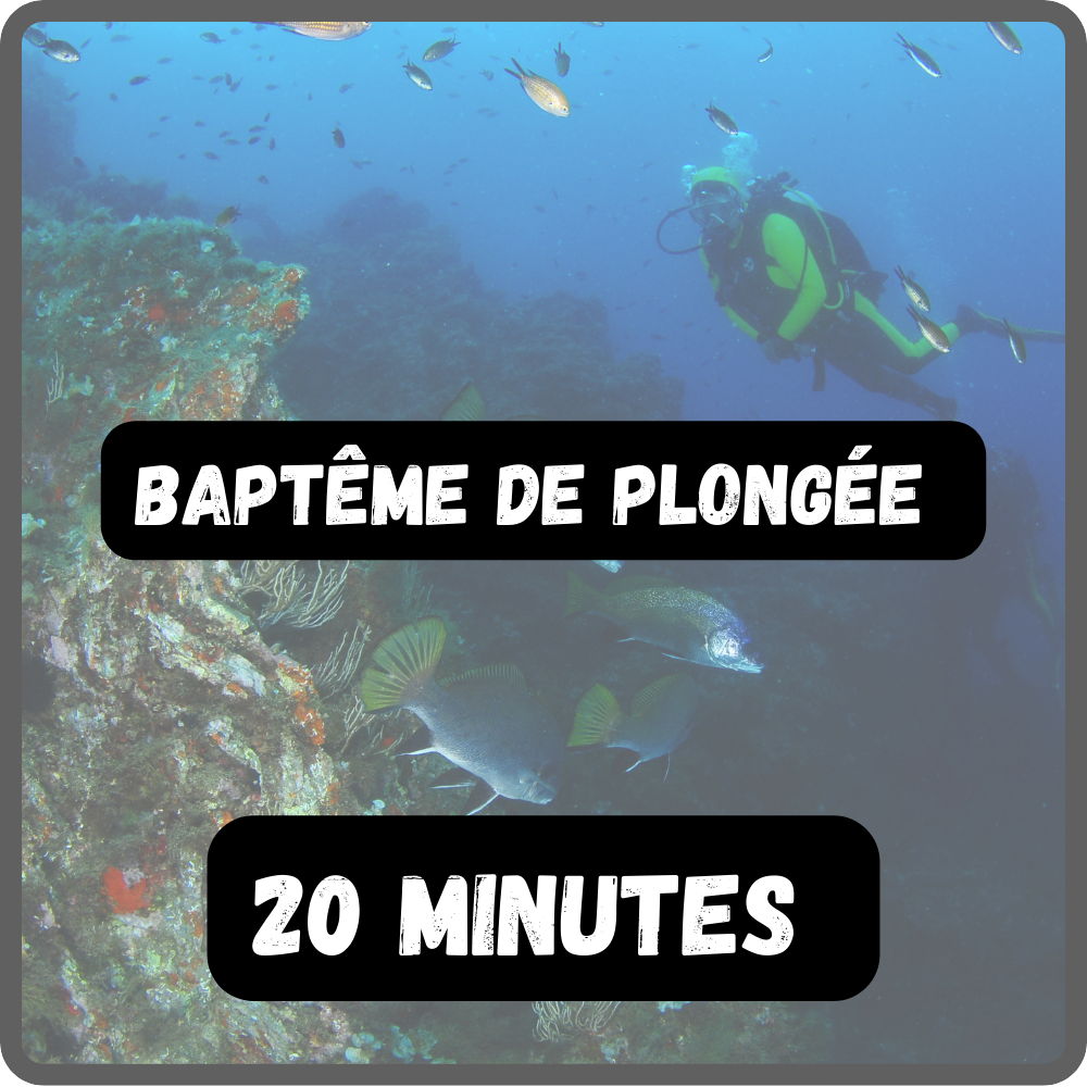 Baptême