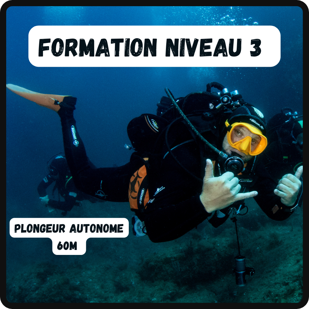 Formation Niveau 3 FFESSM