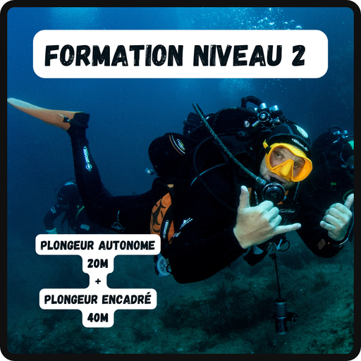 Formation Niveau 2 FFESSM