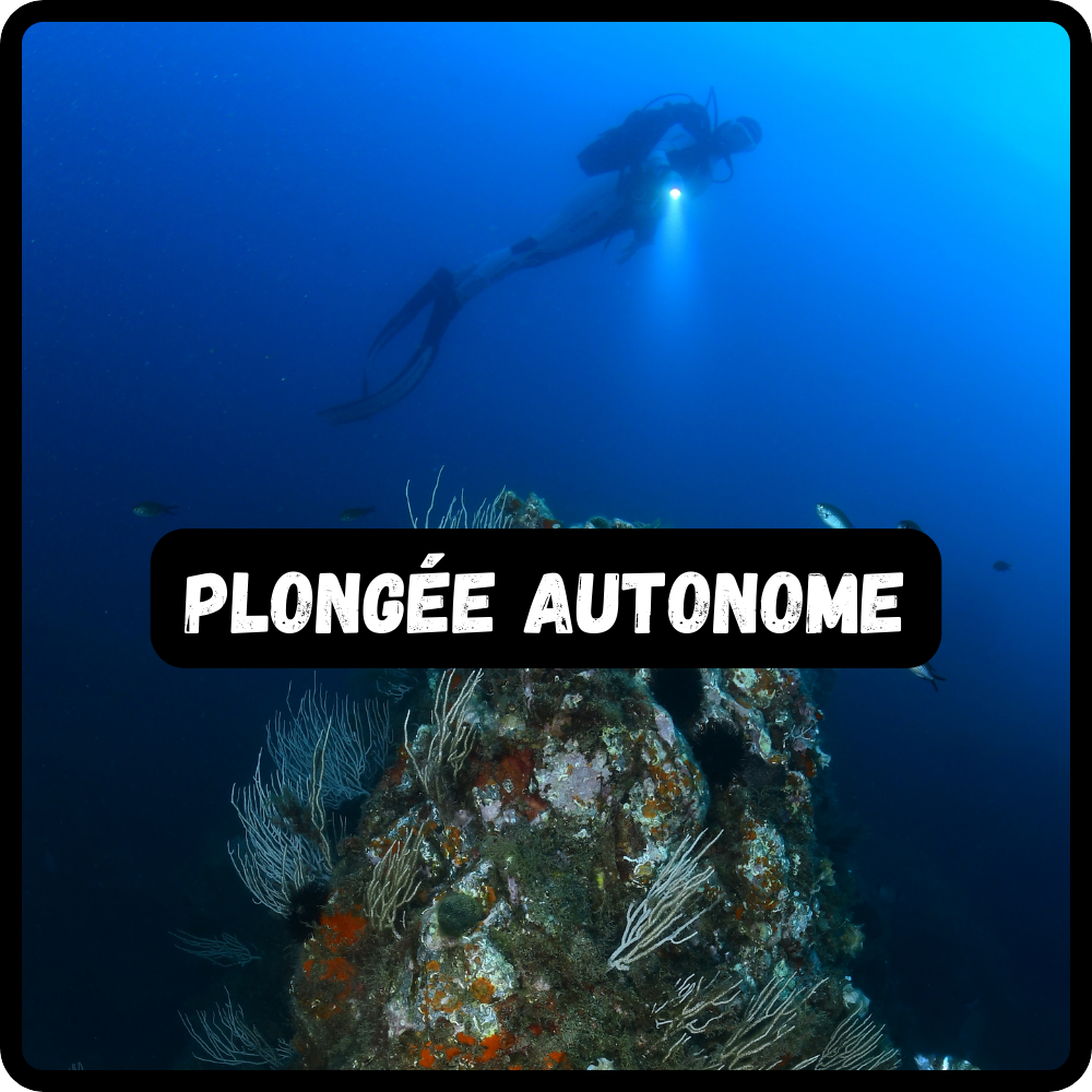 Plongée autonome