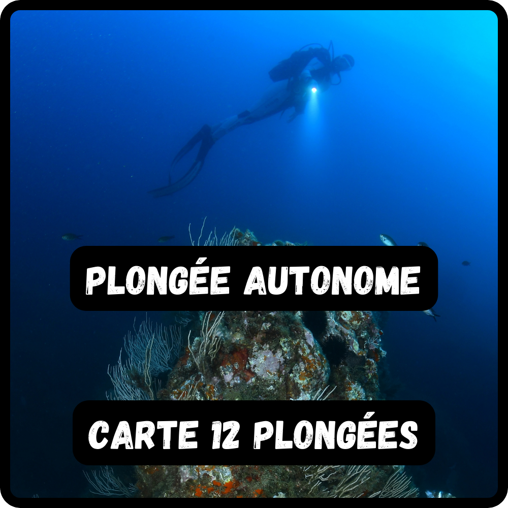 Carte 12 plongées autonomes
